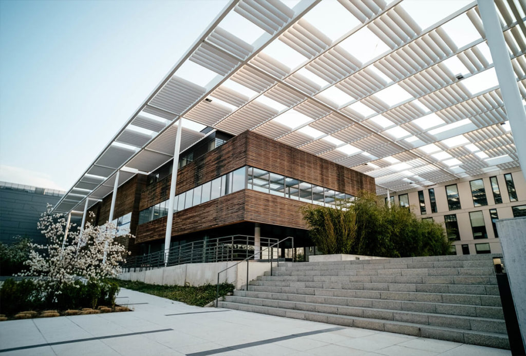 Alibaba66 APK Download – Free for Android & iOS 2025